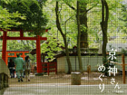 京都おすすめ神社 - 縁結び・ご利益・恋愛 - コトログ京都神社